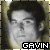 gavin