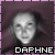 daphne